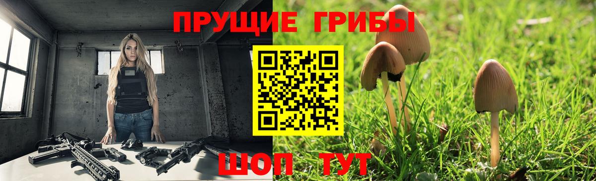 Коркино  Псилоцибиновые грибы мицелий  Псилоцибиновые грибы Psilocybe  Вход с VPN 